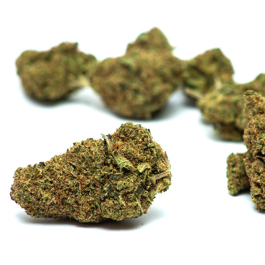 Flores de CBD LA Confidential com buds compactos, muito resinados, tricomas brilhantes e cor verde-escuro intenso