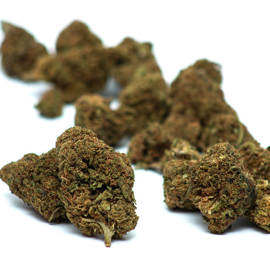 Flores de CBD Lifter com buds densos e resinados, tricomas cristalinos abundantes e cores verde-claro com pistilos alaranjados e avermelhados