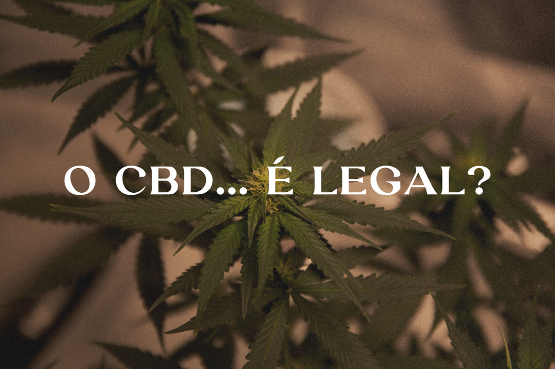 Produtos de CBD legais em Portugal — óleos, flores e resinas disponíveis na Cannalabis  para equilíbrio e bem-estar