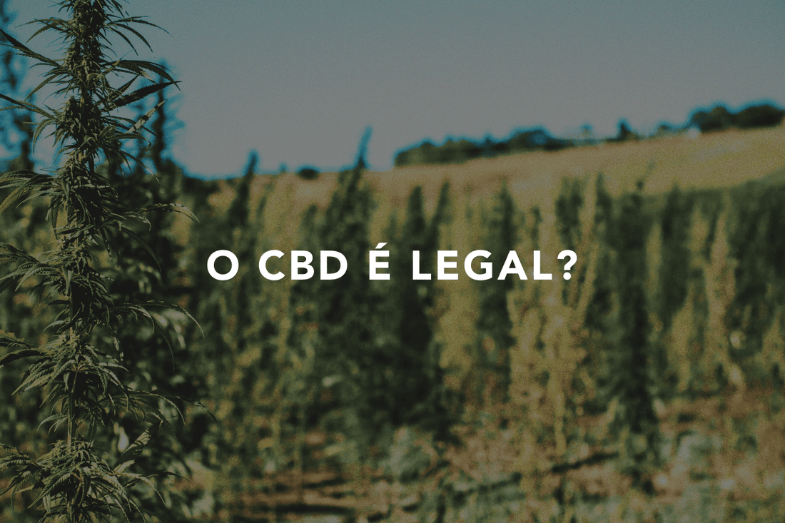 O CBD... é legal?