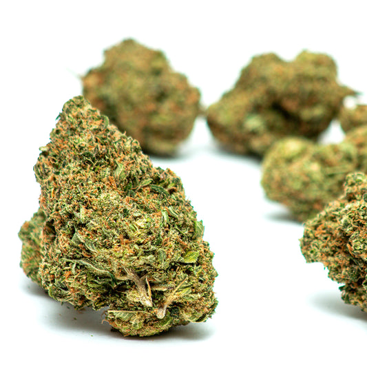 Flores de CBD Gelato com buds densos, resinados, tricomas cristalinos e cores verde-vivo com reflexos laranja e roxo