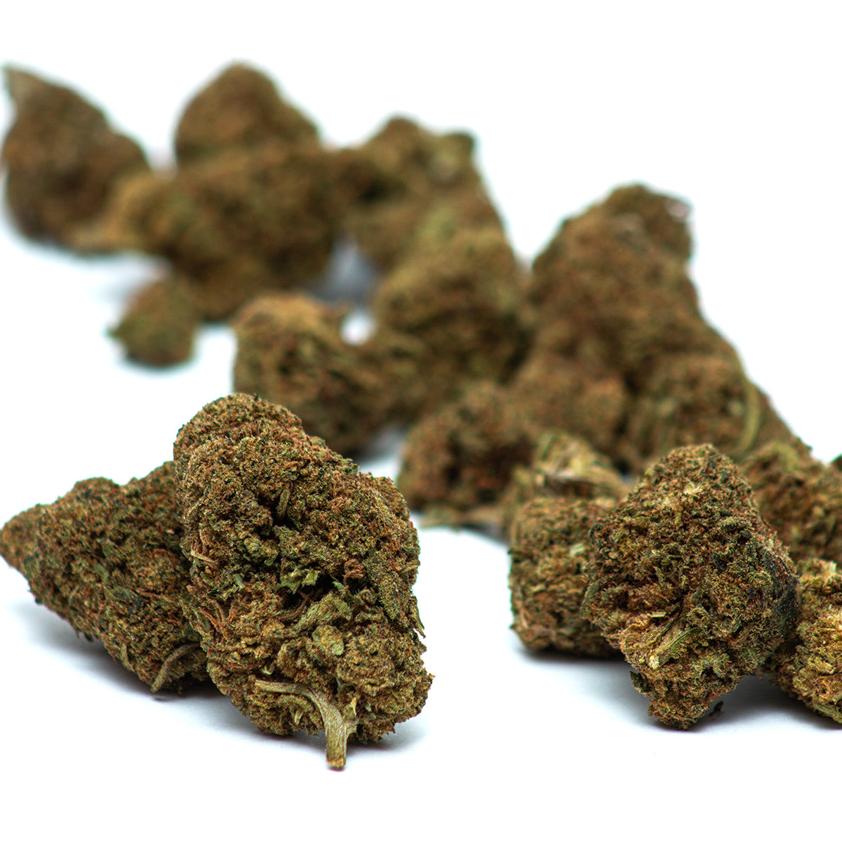 Flores de CBD Lifter com buds densos e resinados, tricomas cristalinos abundantes e cores verde-claro com pistilos alaranjados e avermelhados