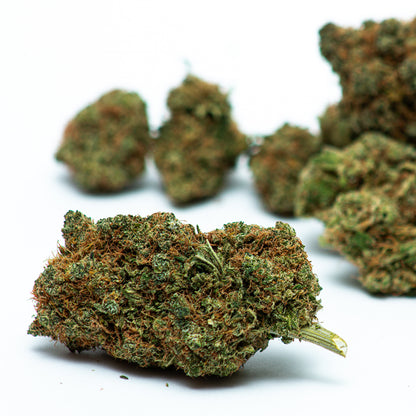 Flores de CBD White Widow com buds compactos e densos, tricomas cristalinos abundantes e cores verde-claro com pistilos alaranjados