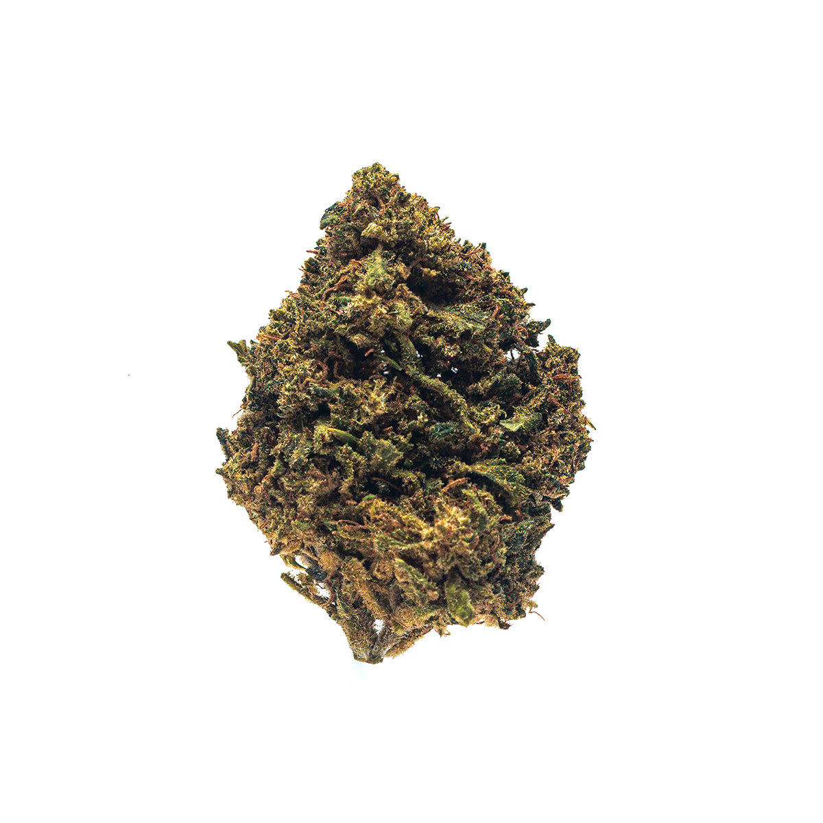 Flores de CBD Fedtonic com buds compactos e arejados, tricomas cristalinos e cores verde-claro com pistilos alaranjados