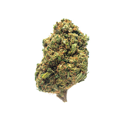 Flores de CBD Gelato com buds densos, resinados, tricomas cristalinos e cores verde-vivo com reflexos laranja e roxo