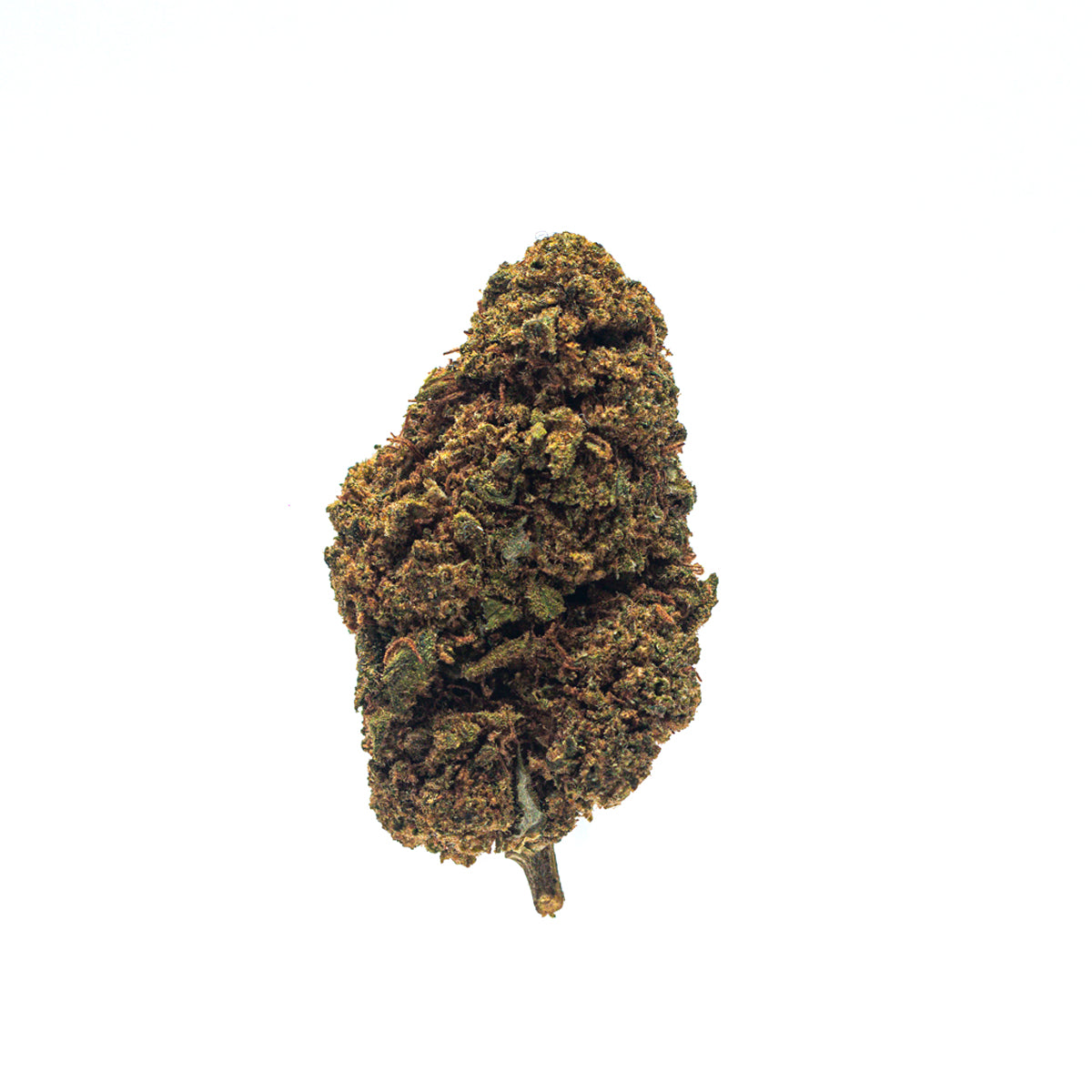 Flores de CBD Lifter com buds densos e resinados, tricomas cristalinos abundantes e cores verde-claro com pistilos alaranjados e avermelhados