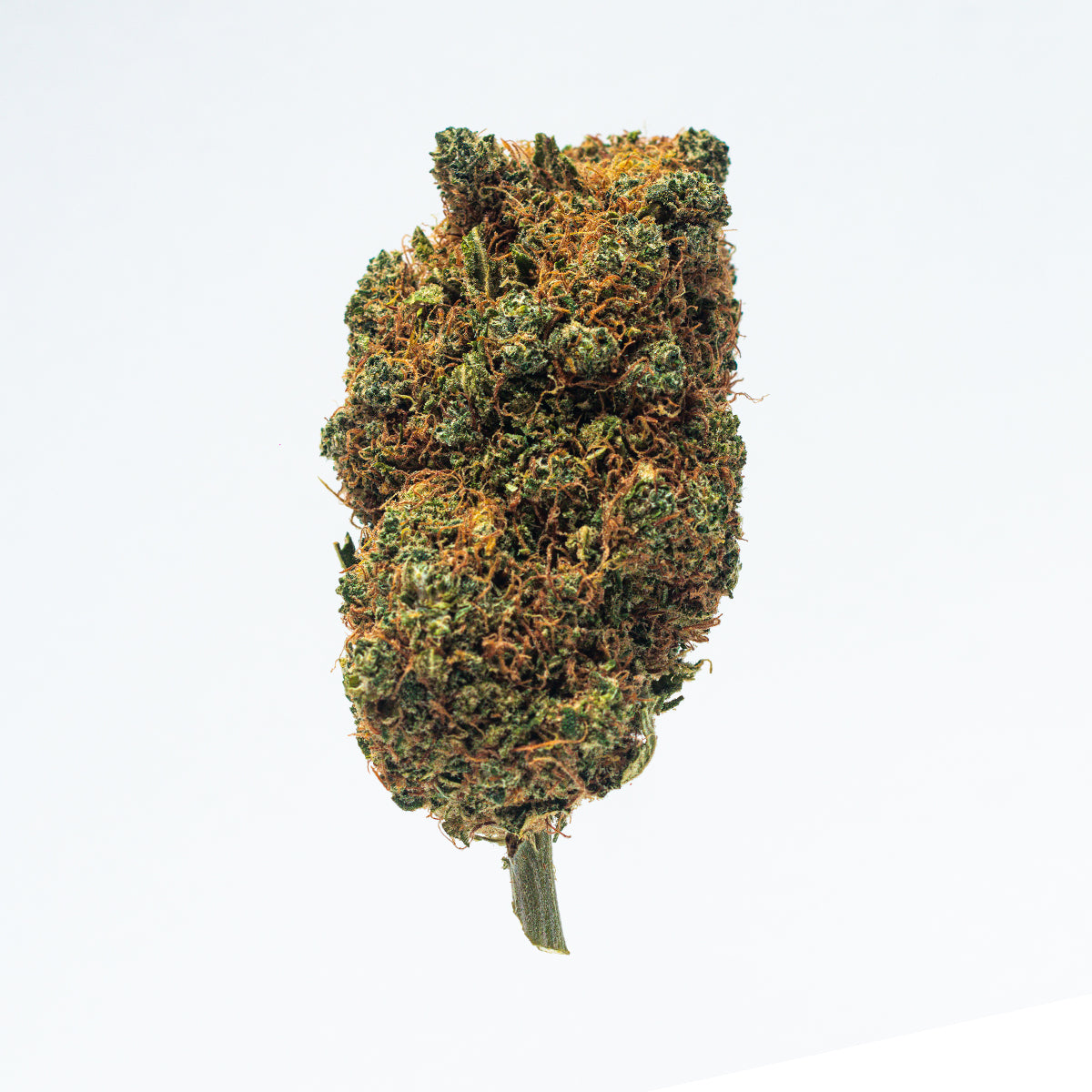 Flores de CBD White Widow com buds compactos e densos, tricomas cristalinos abundantes e cores verde-claro com pistilos alaranjados